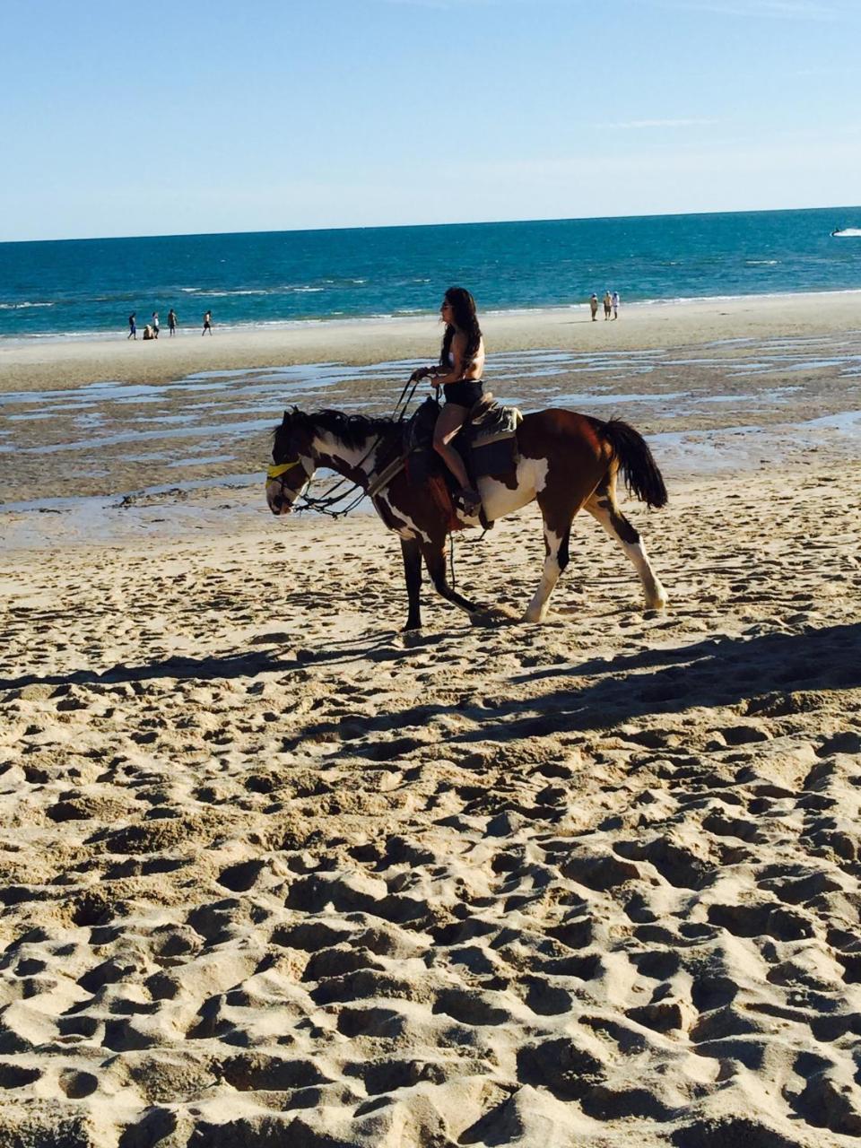 Sunny Daze Lejlighed Puerto Peñasco Eksteriør billede